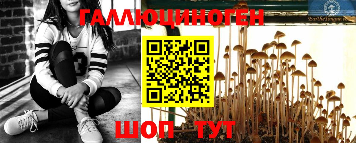 Псилоцибиновые грибы мухоморы  Вход с VPN  Осинники 