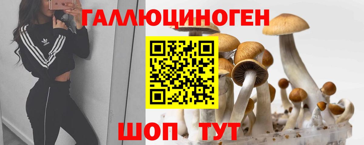 Псилоцибиновые грибы MAGIC MUSHROOMS Осинники