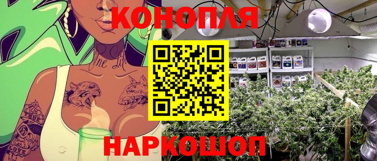 Каннабис конопля  Конопля гибрид  Осинники  Вход с VPN 